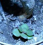     
: DSC_3752.jpg
: 12
:	89.1 
ID:	2469353