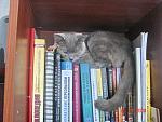     
: DSC02086.jpg
: 36
:	122.0 
ID:	247070