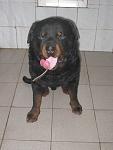     
: IMG_3119.jpg
: 61
:	76.4 
ID:	2470929