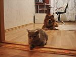     
: DSC02125.jpg
: 25
:	93.6 
ID:	247166