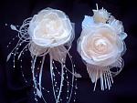     
: PICT0011.jpg
: 23
:	111.4 
ID:	2472785
