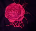     
: PICT0001(A).jpg
: 32
:	125.9 
ID:	2472788