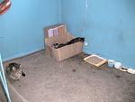     
: Изображение 008.jpg
: 46
:	122.1 
ID:	2473100