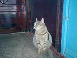     
: 19022011286.jpg
: 56
:	138.0 
ID:	2473105