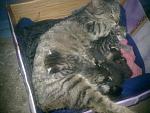    
: 09032011294.jpg
: 42
:	118.9 
ID:	2473106