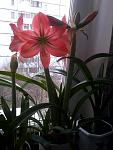     
: Фото0093.jpg
: 14
:	81.3 
ID:	2479918