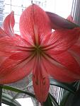     
: Фото0091.jpg
: 12
:	69.6 
ID:	2479924