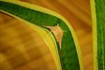     
: DSC_3768.jpg
: 4
:	69.1 
ID:	2479930