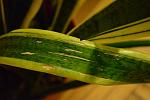     
: DSC_3770.jpg
: 7
:	106.1 
ID:	2479931