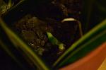     
: DSC_3766.jpg
: 6
:	71.0 
ID:	2479932