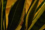     
: DSC_3772.jpg
: 4
:	72.2 
ID:	2479958