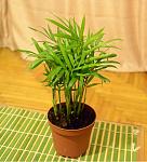     
: DSC_3760.jpg
: 11
:	102.8 
ID:	2480727