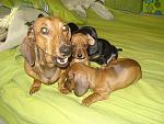     
: DSC05204.jpg
: 27
:	69.3 
ID:	2481475