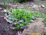     
: IMG_2366.jpg
: 25
:	268.4 
ID:	2483197