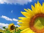     
: images (10).jpg
: 8
:	6.0 
ID:	2491515