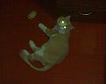     
: 06042011488.jpg
: 9
:	144.3 
ID:	2492228