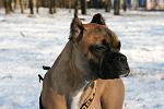     
: IMG_6648.jpg
: 43
:	87.7 
ID:	2493092