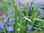     
: IMG_2472.jpg
: 14
:	144.9 
ID:	2499859