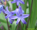     
: IMG_2473.JPG
: 11
:	201.3 
ID:	2499860