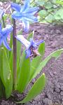     
: IMAG1188.jpg
: 24
:	74.3 
ID:	2500374