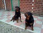     
: IMG078.jpg
: 105
:	50.4 
ID:	2502791