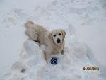     
: IMG_1405.jpg
: 23
:	66.5 
ID:	2508228
