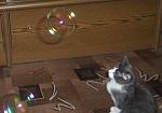     
: DSCN0231.jpg
: 5
:	225.9 
ID:	2510061