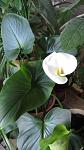     
: IMG_0445.jpg
: 31
:	23.2 
ID:	2514925