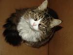     
: DSC02532.JPG
: 17
:	25.7 
ID:	2515348