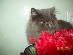     
: 100_1018 1.jpg
: 9
:	73.9 
ID:	251627