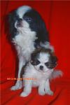     
: 5d0e22bd8e6c.jpg
: 13
:	37.6 
ID:	2517022