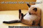     
: x_3f730865.jpg
: 13
:	54.7 
ID:	2518729