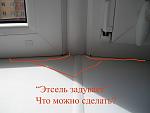     
: DSCN3815.jpg
: 68
:	66.4 
ID:	2518738