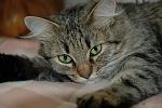     
: DSC_0098.jpg
: 15
:	138.9 
ID:	2520171