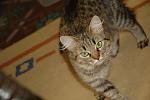     
: DSC_0059.jpg
: 15
:	78.4 
ID:	2520181