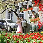     
: y_5936bdd1.jpg
: 23
:	188.8 
ID:	2520293