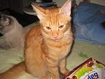     
: IMG_2902.jpg
: 22
:	121.5 
ID:	2520400