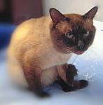     
: 0_5fdf0_eb3d688_XL.jpg
: 31
:	103.6 
ID:	2524810