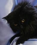     
: Картинка 2 из 5958.jpg
: 12
:	22.4 
ID:	2524841