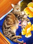     
: IMG_1407.jpg
: 24
:	159.0 
ID:	2524852