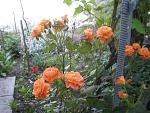     
: _var_www_temp_11_101_21_GAXNOOguWKXReuY.jpg
: 17
:	81.2 
ID:	2526295
