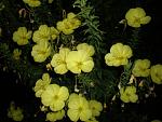     
: _var_www_temp_11_101_21_cpbk3AvhNz7NnZpe.jpg
: 13
:	75.0 
ID:	2526296