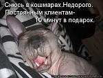     
: 56987609_s3img_55546277_19053_1.jpg
: 47
:	60.1 
ID:	2527360