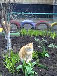     
: 07042011500.jpg
: 68
:	83.6 
ID:	2529542