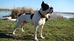    
: DSC01579.jpg
: 42
:	201.3 
ID:	2531650