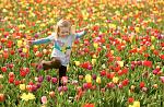     
: Spring_01.jpg
: 8
:	78.9 
ID:	2532964
