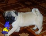     
: x_519c8979.jpg
: 23
:	39.2 
ID:	253429