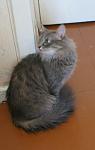     
: Картинка 77 из 2794.jpg
: 16
:	20.9 
ID:	2536825