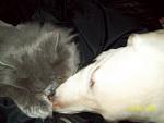     
: 100_1065 1.jpg
: 33
:	73.1 
ID:	253769