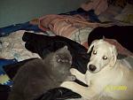     
: 100_1064 1.jpg
: 31
:	99.5 
ID:	253770